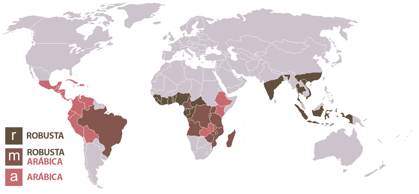 Países produtores de café por variedade (Robusta e Arábica)